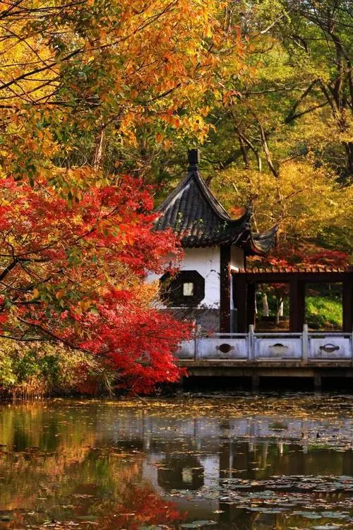 f3a4c8dd6cb3bb183ec8377725d2efc4-sz_116551-2