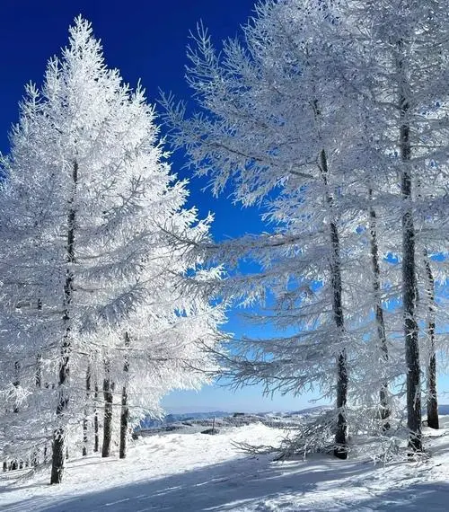 f3cf4936a6a22b950a14e3ad25b0359b-sz_89426 f3cf4936a6a22b950a14e3ad25b0359b-sz_89426