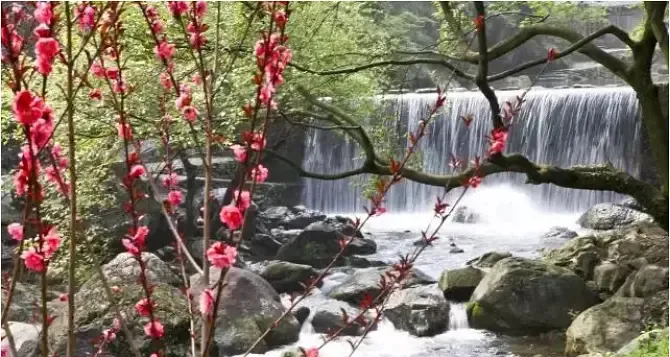 f3d8a686b93448e35f9d404cf1cb6d17-sz_481335