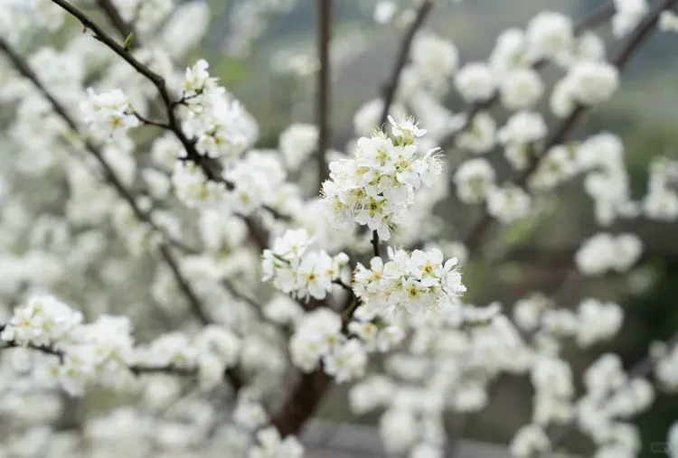 f3fd66ee3b78603e805a97e4b597c20f-sz_2595666 f3fd66ee3b78603e805a97e4b597c20f-sz_2595666