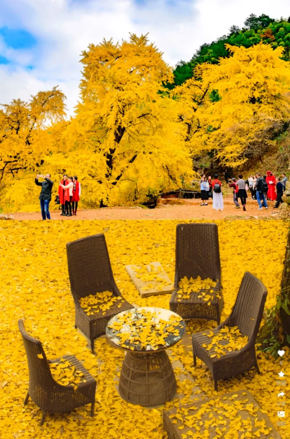 f44d6c1cca01f2e410df0a683487bc6c-sz_503536