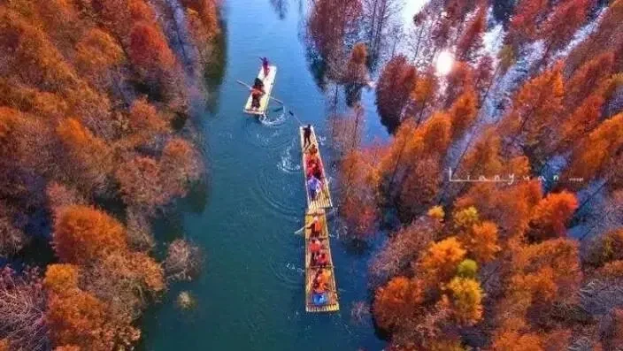 f470cad774c7df76e626b7e3fff48375-sz_66581 f470cad774c7df76e626b7e3fff48375-sz_66581