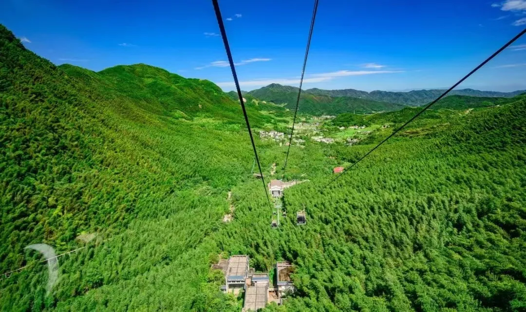 f499222fe6be77cb9a21f20f36c1154b-sz_356412-1