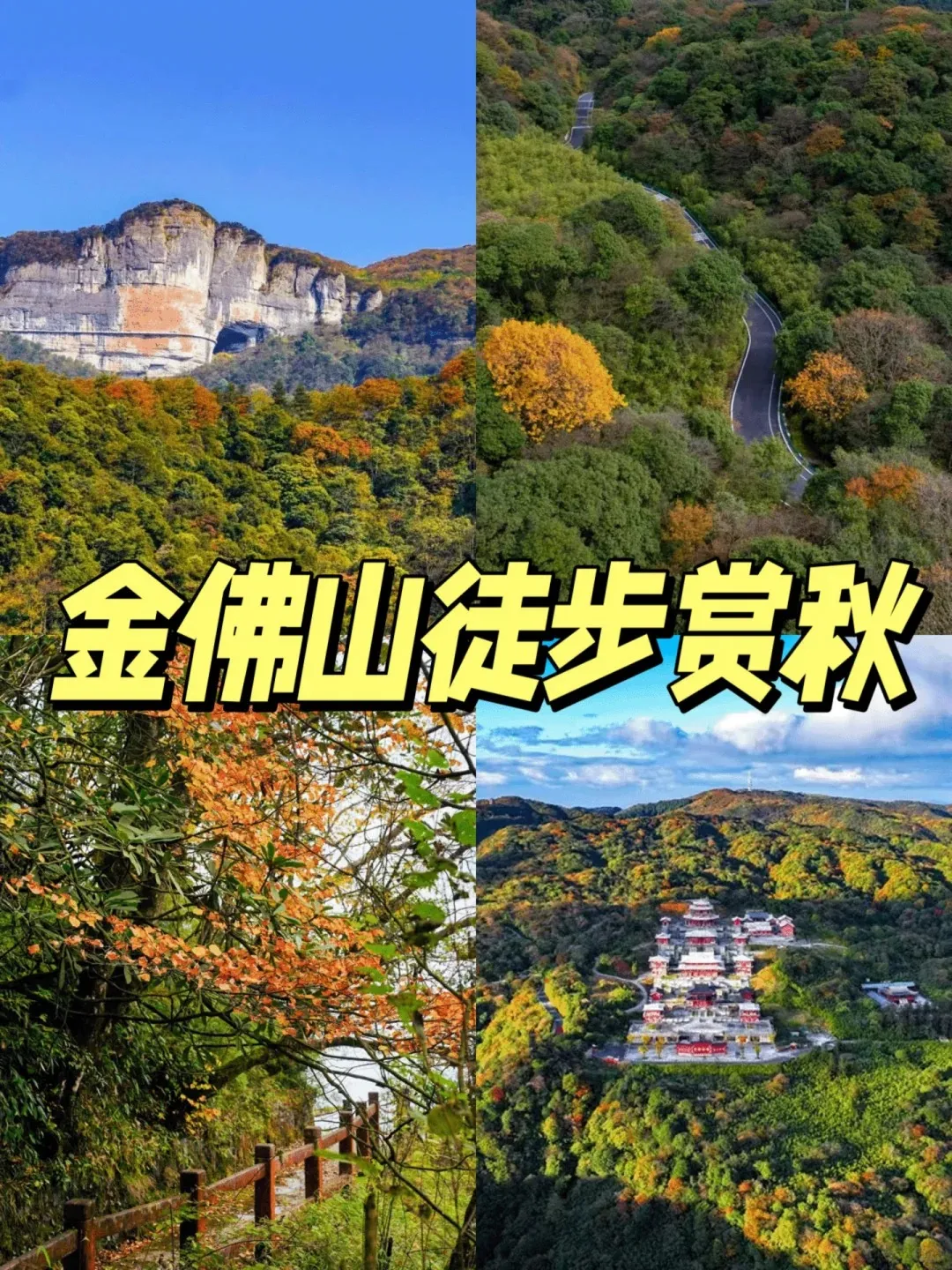 f4a44d5654285864d16153c202ef33dc-sz_603643