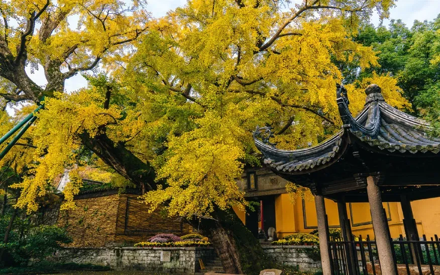 f4f3384784ed556c64a9128dce02cb1b-sz_1412019 f4f3384784ed556c64a9128dce02cb1b-sz_1412019