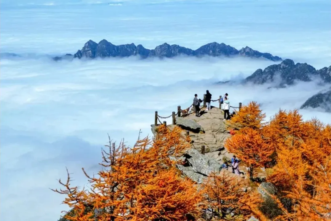 f5089ff5677d1fb9c070794471a6c47b-sz_377576-1