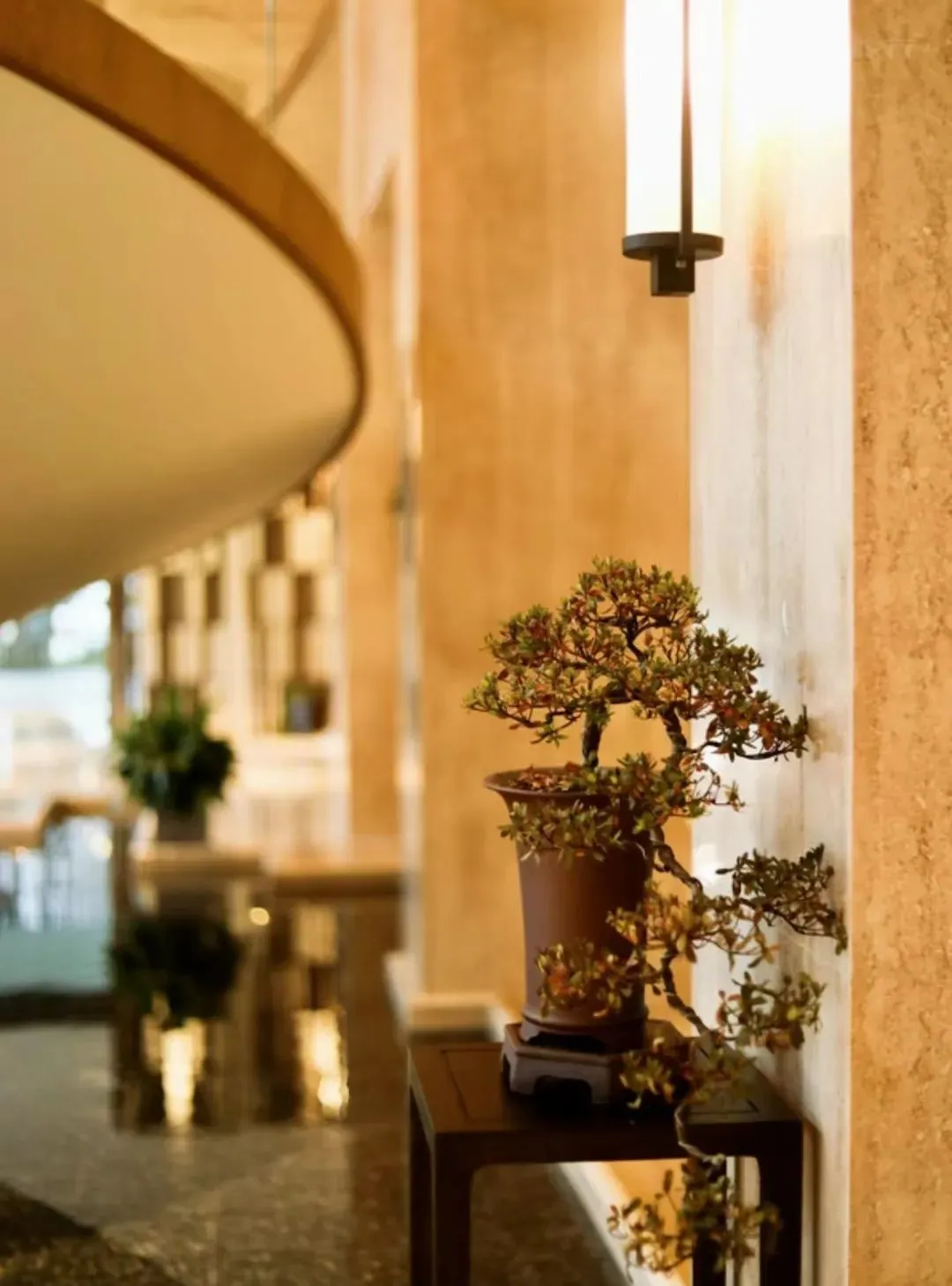 f5492a1857dd533a8e2e63f99708676d-sz_140150