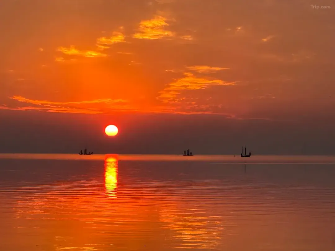 f5c890009e470d1f976ed6d97d20fa8e-sz_1011468