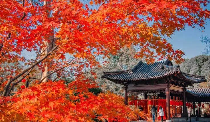 f5d9ee757e5e2e0310e45fcd025e6f67-sz_123078-2