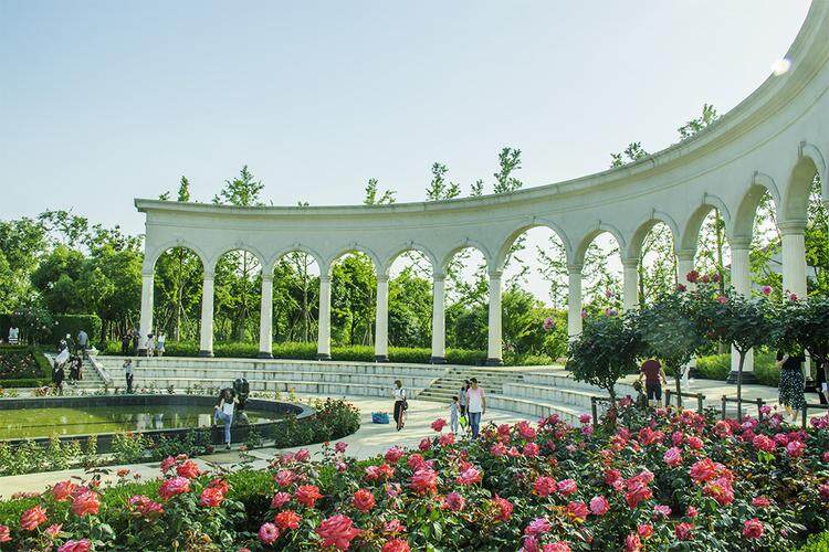 f5e576e24d8eecbd11913982687b67ef-sz_98502