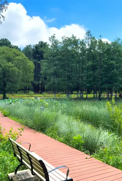 f6506e06daad712d0e50b35c7bc317ed-sz_457975