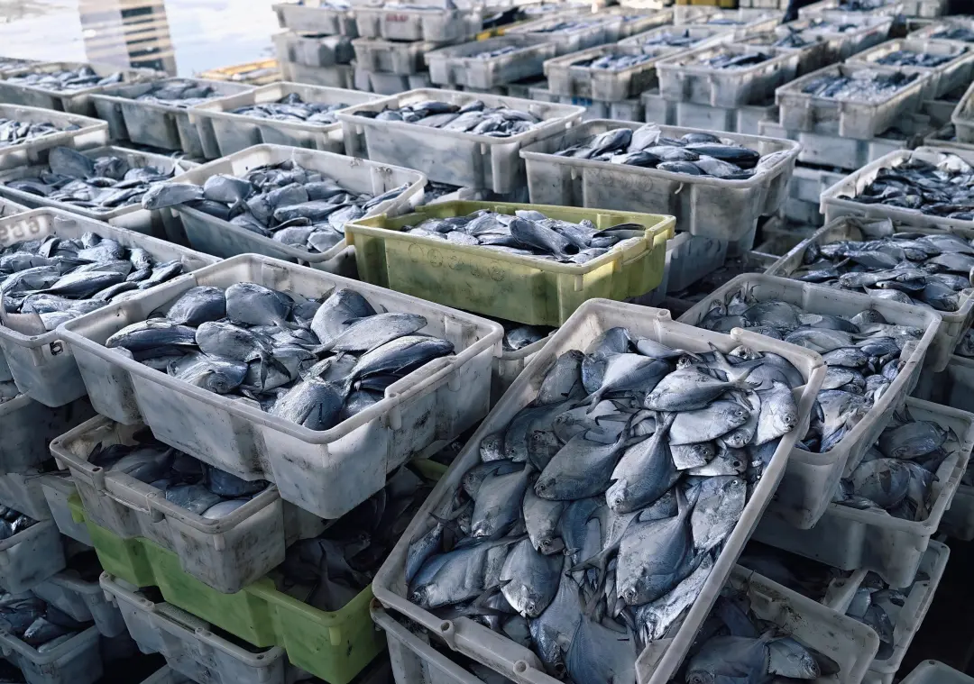 f683ef86439a65c40716ca4e94379dcb-sz_1549531 f683ef86439a65c40716ca4e94379dcb-sz_1549531