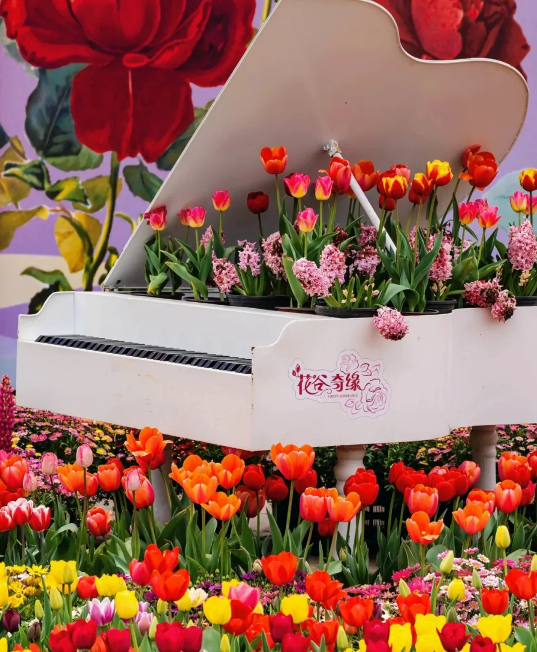 f6e4dc390b607461f3b7072356c6e060-sz_1139883 f6e4dc390b607461f3b7072356c6e060-sz_1139883