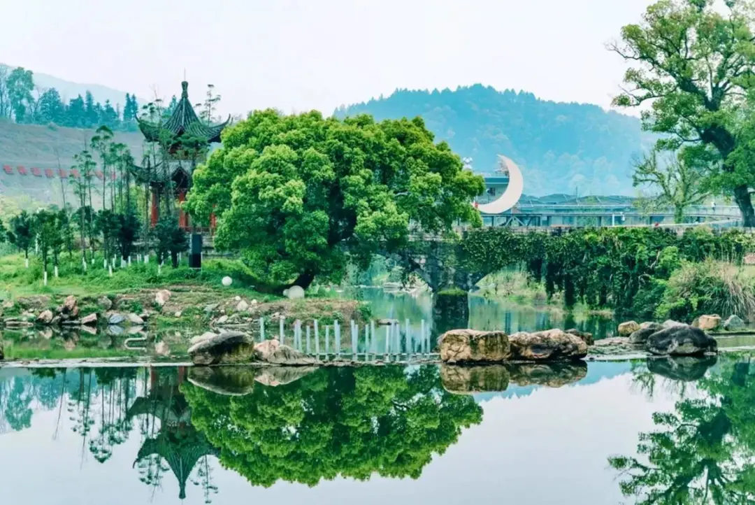 f7048bf775b576820ea17b7d81718b26-sz_185423