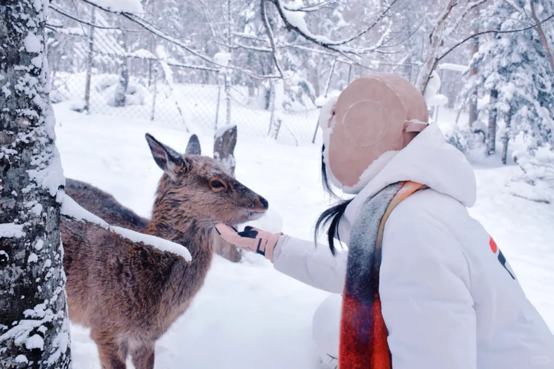 f71acf4cef9734a950f61f9d07f76834-sz_1172748