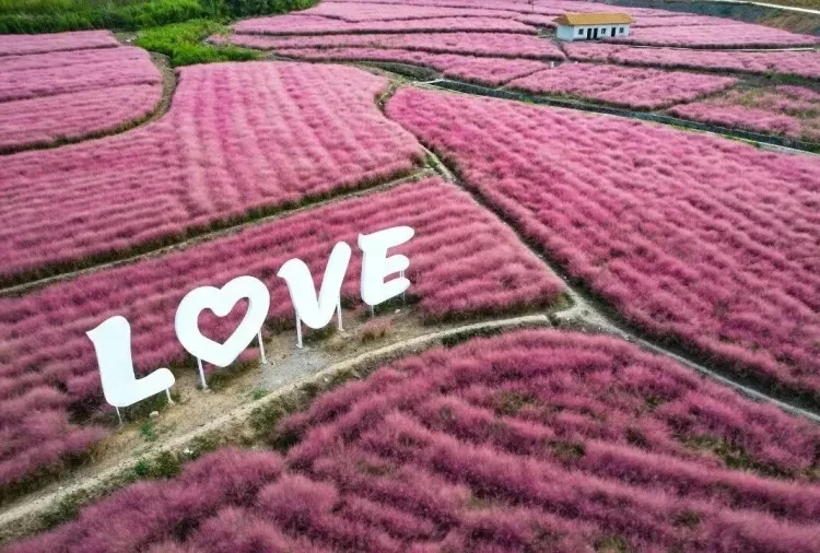 f71f62c653121cb1250e59b7e810667f-sz_207005 f71f62c653121cb1250e59b7e810667f-sz_207005