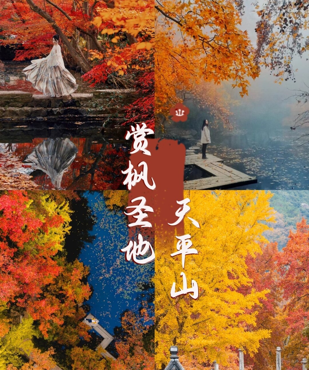 f72e7de038d8915306d92dc01aeeb56d-sz_2300097-1