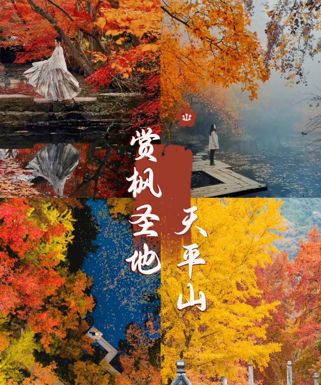 🎯不用去日本，赏枫圣地就在眼前🎯399元无锡苏州纯玩三日入住2晚全新安泊芮S酒店🎯含2自助早4正餐 升级一餐大闸蟹宴 🎯赠送游船+天平山赏枫门票 免费棋牌免费唱歌