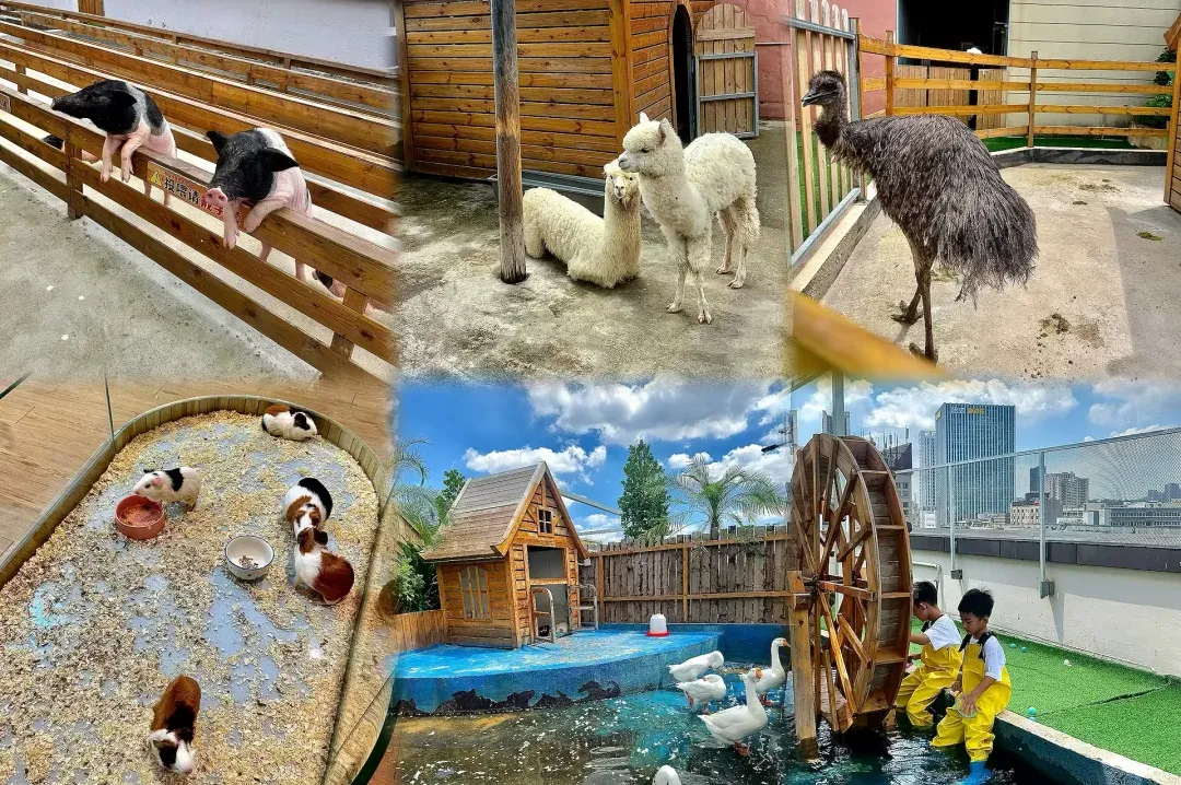 f7593252b83580af1c6fe78fa299c6ba-sz_3364871 f7593252b83580af1c6fe78fa299c6ba-sz_3364871