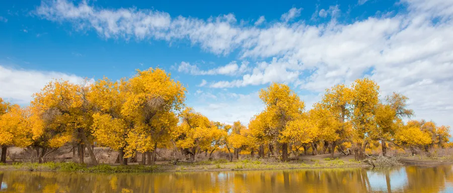 f798d2ea2ea31ba25e7554c0eb04ffe0-sz_255991