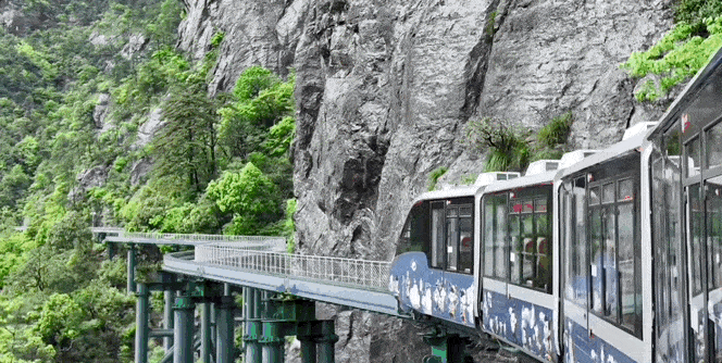 f7a86df2fced5c2c89ed12bb6f2edcb9-sz_10415264