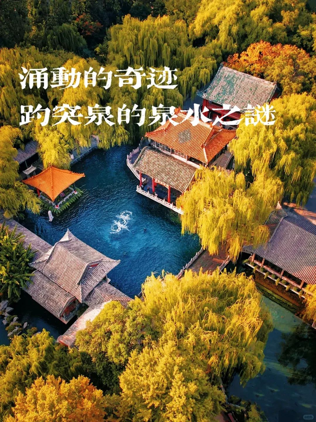 f7ae3cd27e171fe08a37985c32fc4fc5-sz_4263624 f7ae3cd27e171fe08a37985c32fc4fc5-sz_4263624