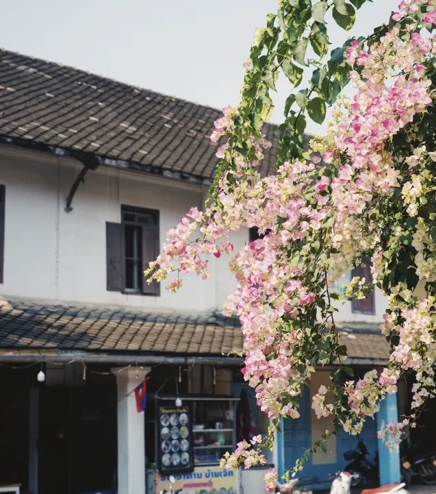 f7d37be2426a1037c2314a0ff07de3a6-sz_5987451 f7d37be2426a1037c2314a0ff07de3a6-sz_5987451