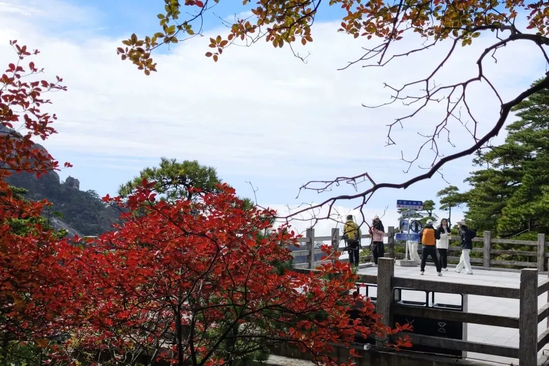 f7ed3648c57f962ee957e9ef27dde9a5-sz_184541