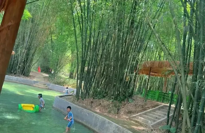 f8980846f65300b2a71e7e084e22d3e0-sz_114325