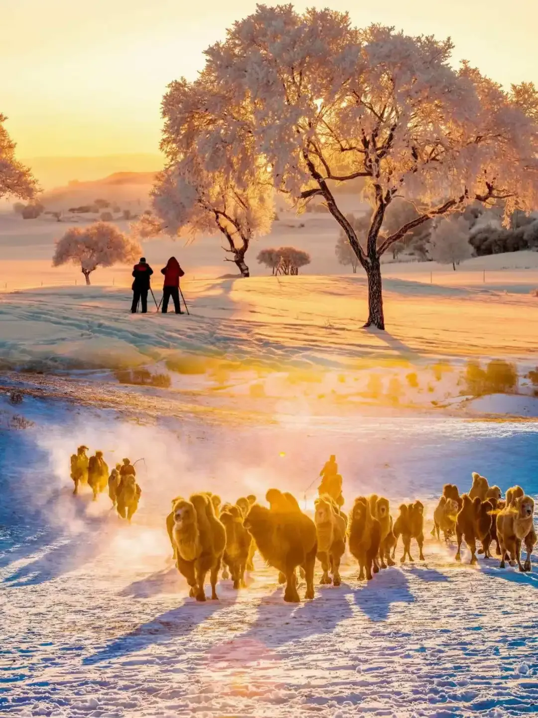 f8b42e923bd02b3820719d1bc2db1fbe-sz_3571200