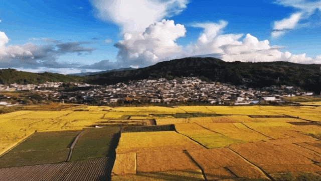 f8cf2a12db7c34c7f2a7b664138ef556-sz_1727505