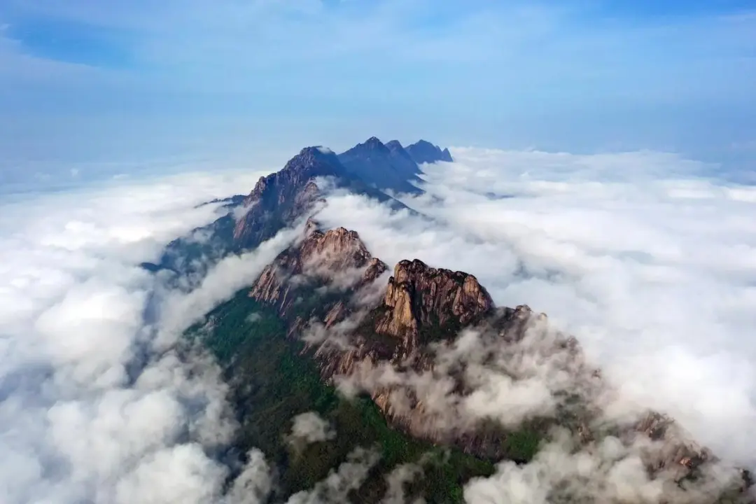 f8dc34f63fdee111c3683ab8d36456dc-sz_81546