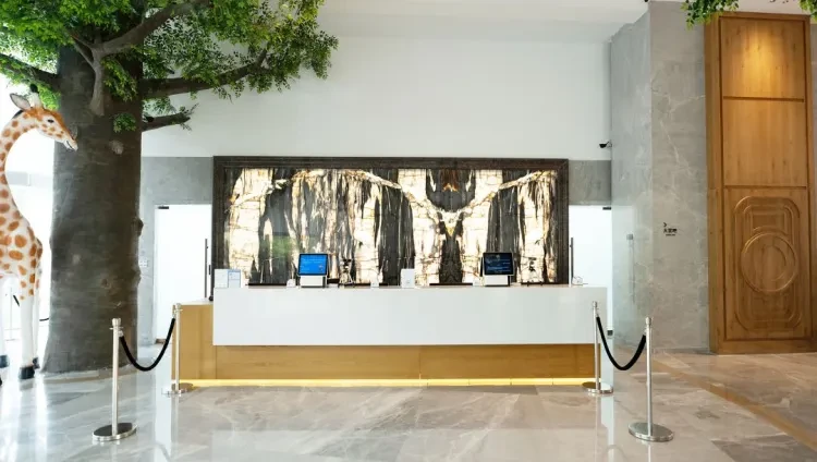 f9466e6f6644a8ebc23388ef44b04eab-sz_115205