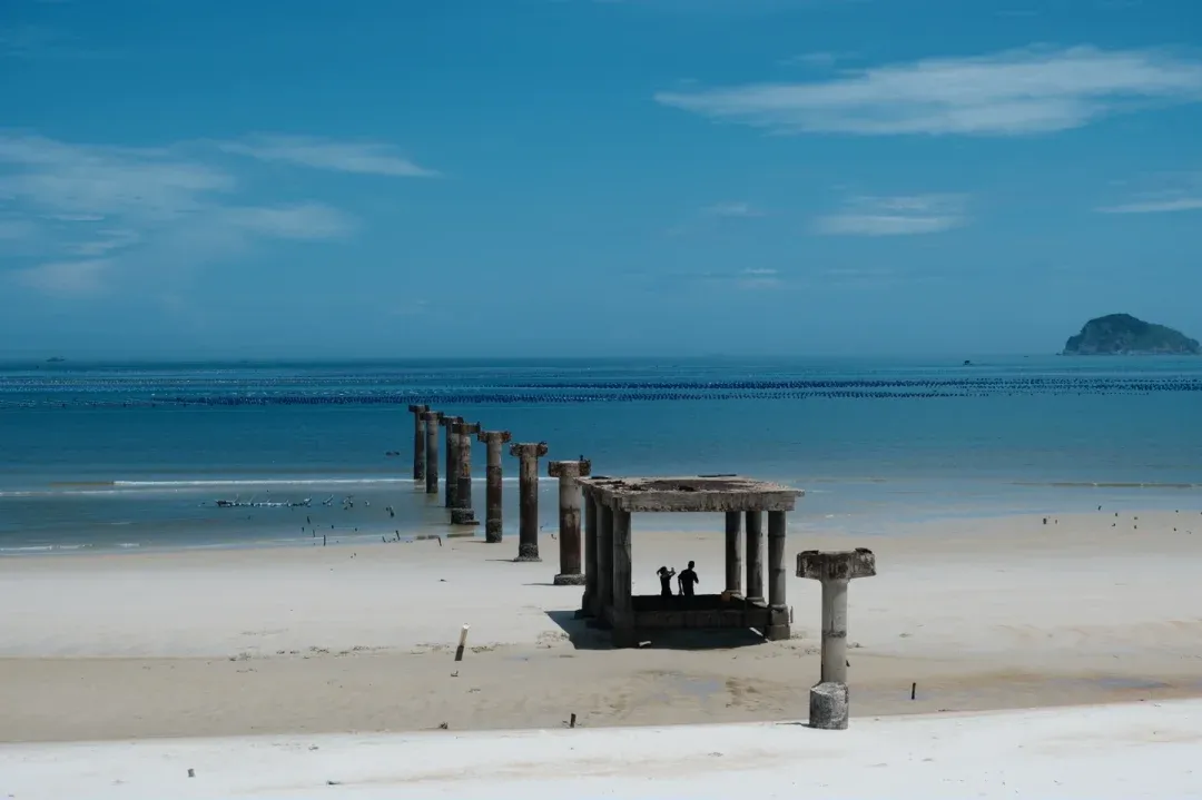 f951c1296ded9a4f15cc667d8a70503c-sz_1316949 f951c1296ded9a4f15cc667d8a70503c-sz_1316949