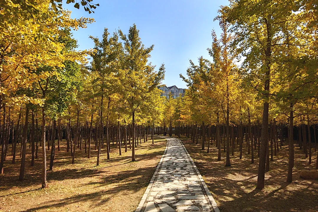 f972d65ce6cb9648196240675f51cceb-sz_3121526