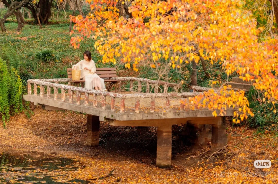 f99ab3ef301bcc09275d094f56a3d646-sz_2401830