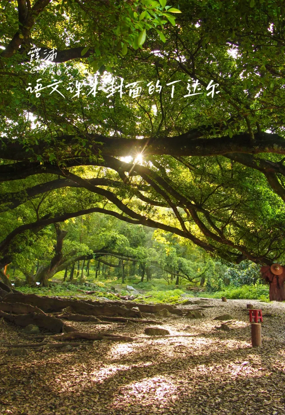 f9ba85ab221a9fa438b9ea7de48b5614-sz_3250137