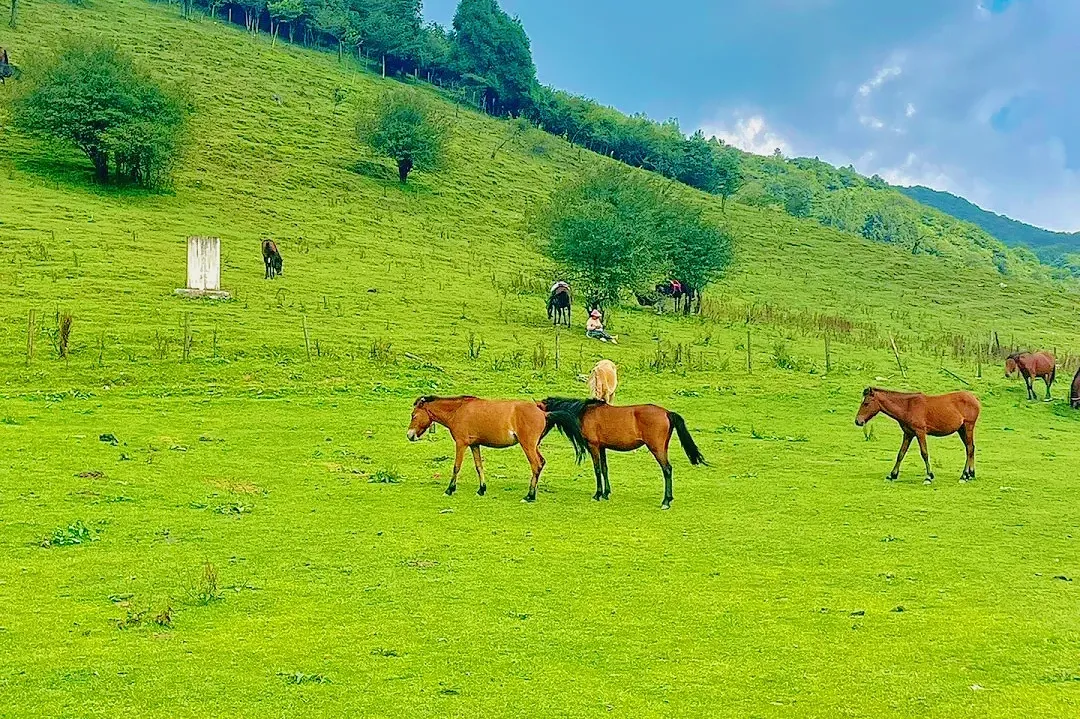 f9cb6bab34b89ac1491ff0f0331578cb-sz_3600593