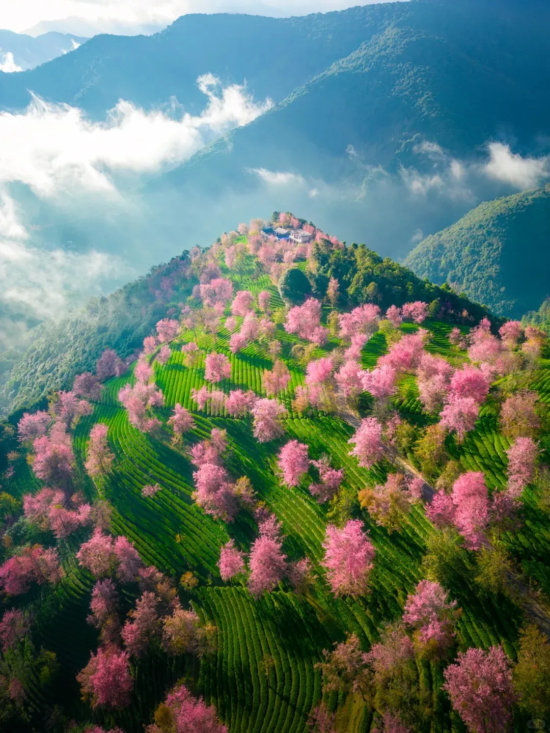 f9e83b8f7189e84e6599d50bb4568d95-sz_3933305-2