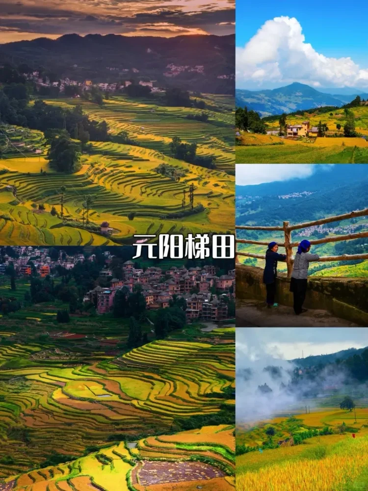 fa2b56943d63bdefb1925df4abd6320b-sz_3538656