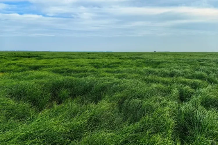 fa3f14deaec80ac630d9861e95c5f443-sz_3321002