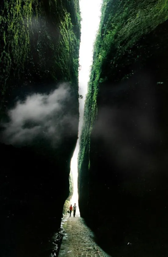 fa97cfc7e43abb072022aa9a0a787281-sz_493261