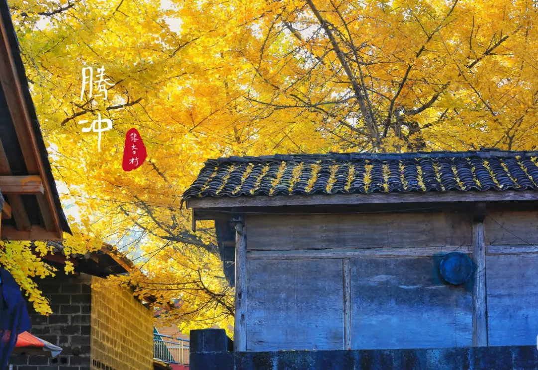 fab4deeddf8a995fba1ea5d433910b52-sz_1692994