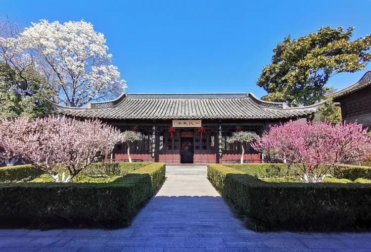 fadb855a7b3a79c5a2126eb15f7cc2e3-sz_1136381