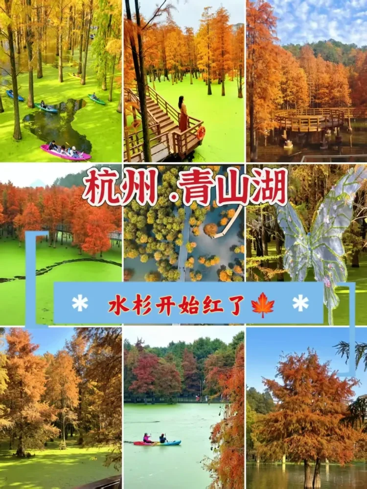 fae180839ea10e9403213b8ae32ca660-sz_3749722