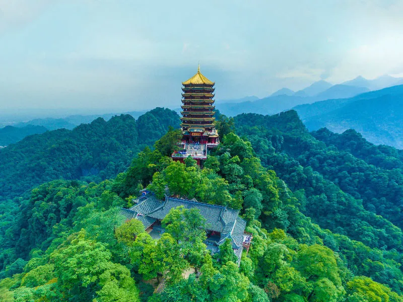 fb3e1f5d6a976b87c885ba1513844a63-sz_154417