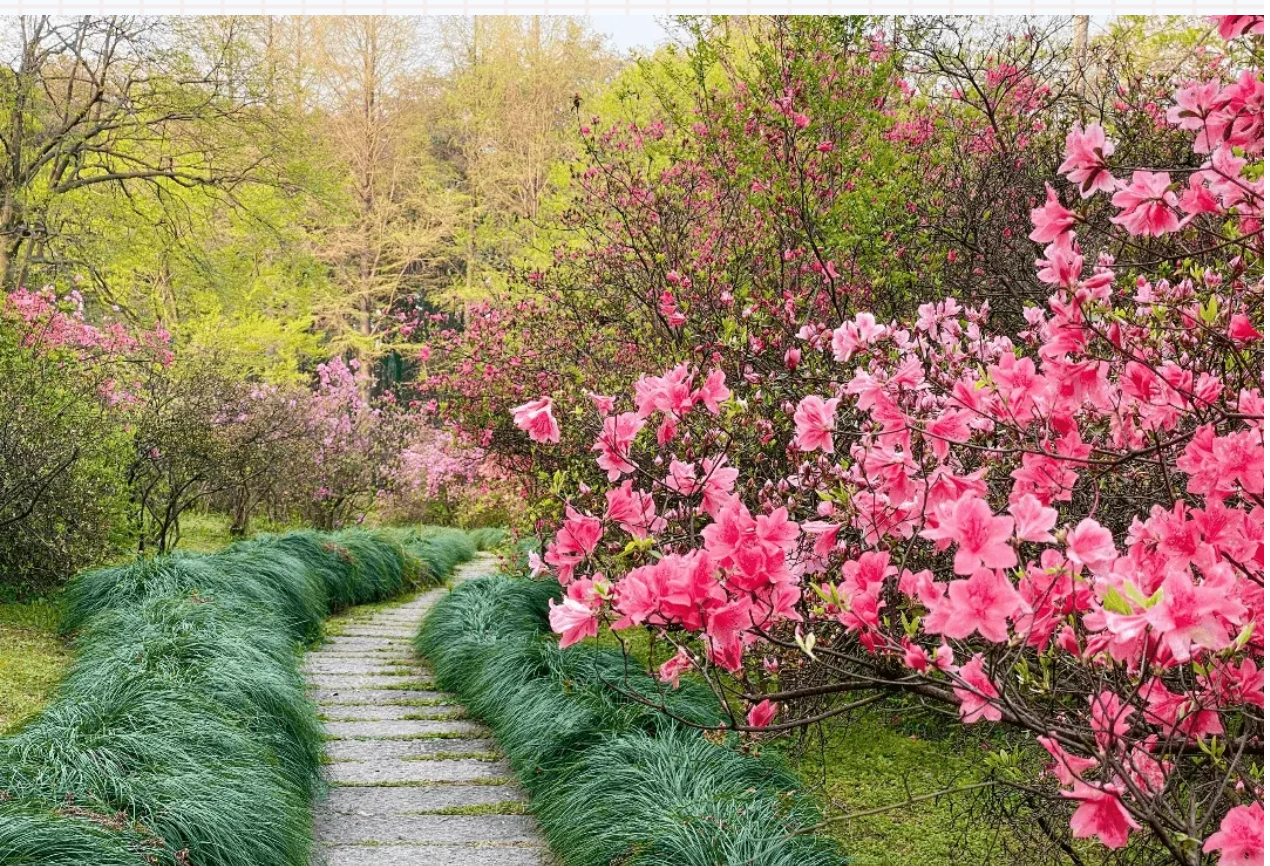 fb54e21ac6442f5f6f560c32db27310d fb54e21ac6442f5f6f560c32db27310d