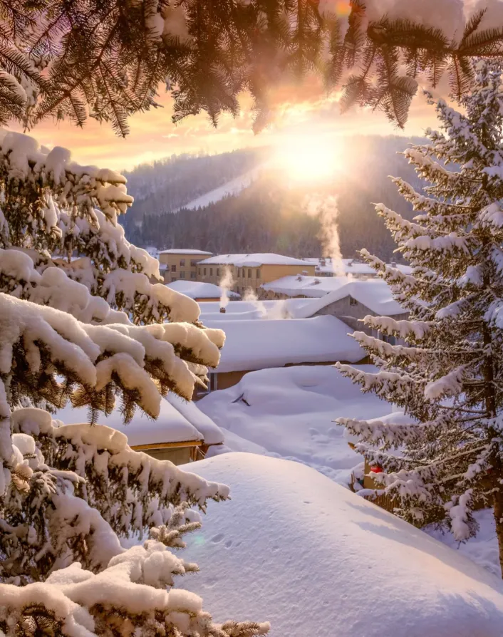 fb5b554dd066b4c215d60bc585038b71-sz_1256873