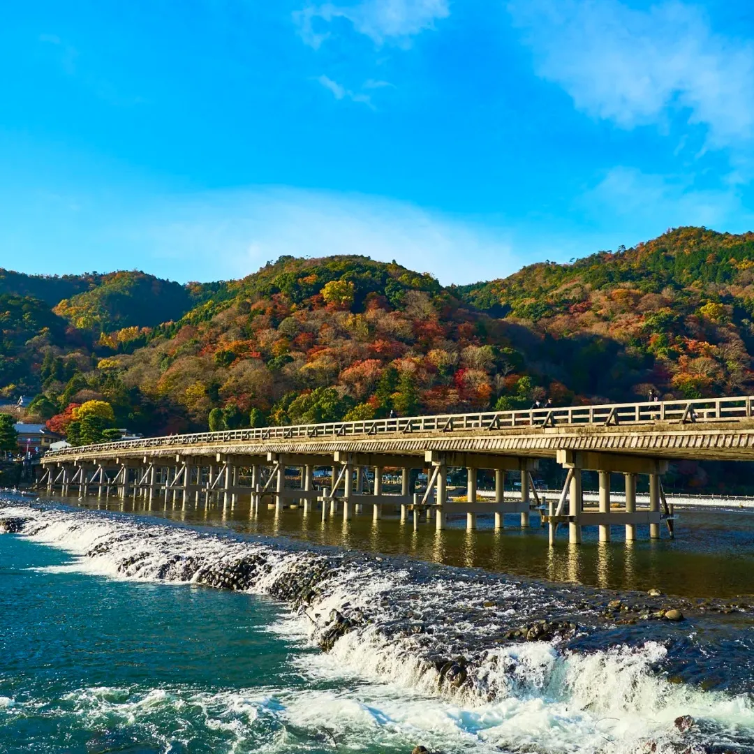 fb8218717b8a0ac121cb28cd877428f0-sz_535847 fb8218717b8a0ac121cb28cd877428f0-sz_535847