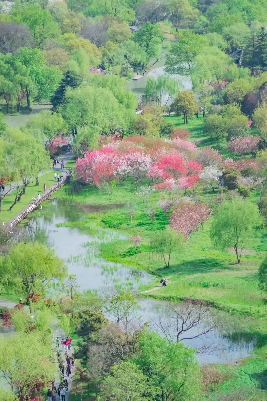 fbd5f2c89730f3675fdf3179fee112fb-sz_336137